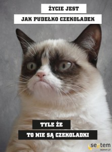 Grumpy Cat 2