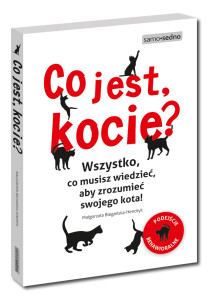 co jest kocie