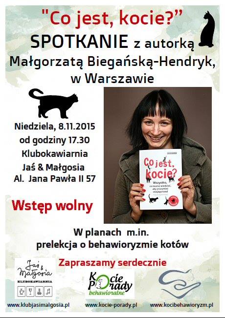 spotkanie_co_jest_kocie
