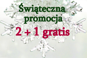 świąteczna promocja