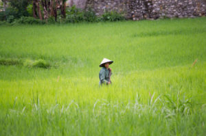 4. Bukitt
