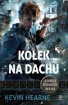 kołek na dachu