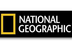 W połowie roku uruchamiamy całkowicie nowy wortal National Geographic