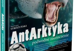 Wyjątkowa, subiektywna podróż fotograficzna w najdalsze i najzimniejsze wody naszego globu