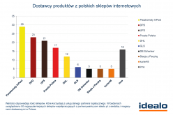 Rozwiązania logistyczne w polskich sklepach internetowych