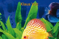 Moje akwarium. Stwórz w swoim mieszkaniu niezwykły podwodny świat!