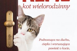 “Alfie, kot wielorodzinny” – powieść o kocie, ludziach i miłości – dla fanów Kota Boba