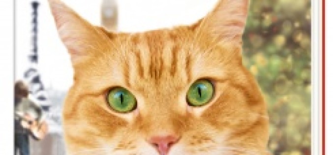 Kot Bob i jego podarunek – Premiera 18 listopada!