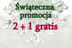 Świąteczna promocja 2+1
