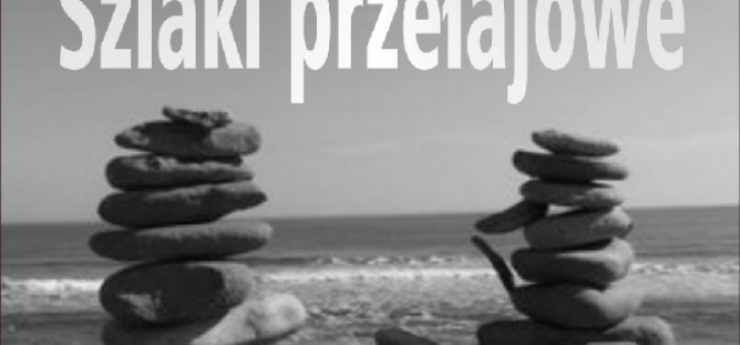 Poezja Adama Kadmona – poleca wydawnictwo Psychoskok