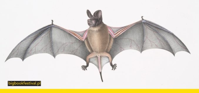 Pełny program czwartej edycji Dużego Festiwalu Czytania