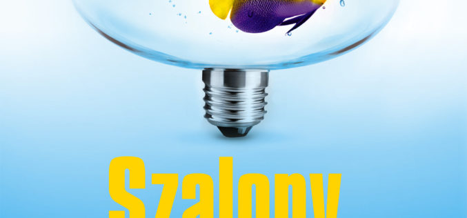 Szalony, czyli przedsiębiorczy. O tym, dlaczego warto iść pod prąd