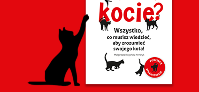 Małgorzata Biegańska-Hendryk, autorka „Co jest, kocie?” na Targach Książki w Krakowie!