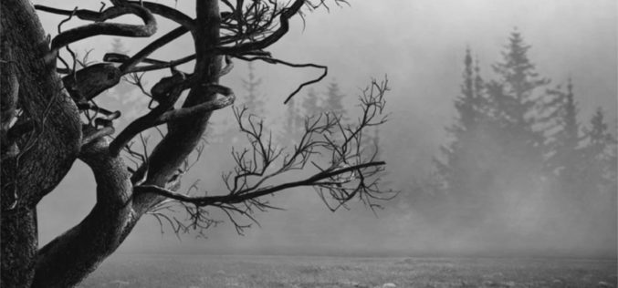 Draconia: Zew upadłych – debiut Adriana Wojdaka