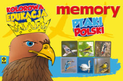 Memory Ptaki Polski