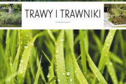 Trawy i trawniki