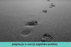 Wydawnictwo 44.pl poleca adaptację powieści Daniela Defoe „Robinson Crusoe”  w serii „Czytamy w oryginale”, przeznaczonej do nauki języka angielskiego