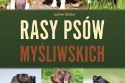 Rasy psów myśliwskich