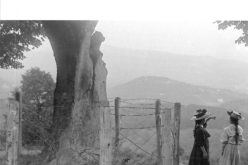 Adrian Sinkowski “Atropina”