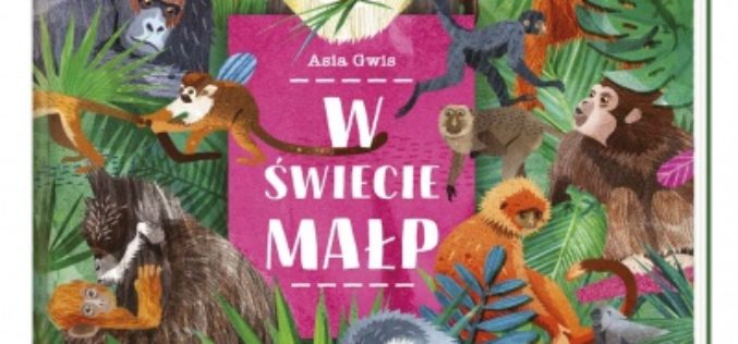 W świecie małp