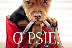 O psie, który wrócił do domu