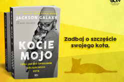 Szczęśliwy kot? Poznaj rady kociego behawiorysty, Jacksona Galaxy’ego