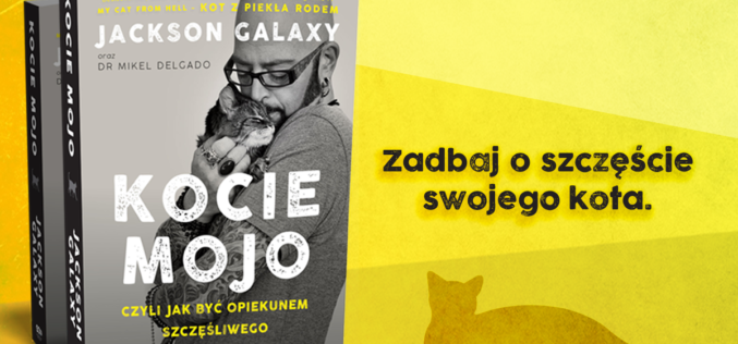 Szczęśliwy kot? Poznaj rady kociego behawiorysty, Jacksona Galaxy’ego