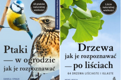 Dwa unikatowe poradniki Ambera – „Drzewa – jak je rozpoznawać po liściach” oraz „Ptaki w ogrodzie – jak je rozpoznawać”