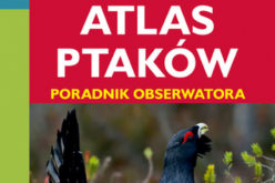 Atlas ptaków. Wyd. III