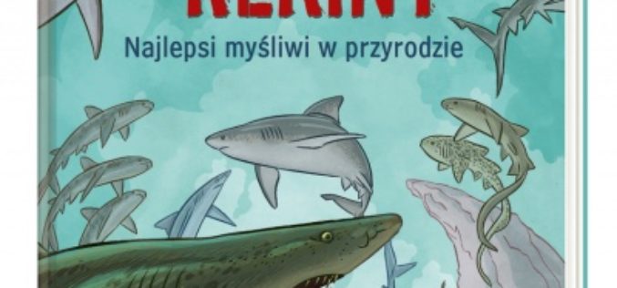 Rekiny – najlepsi myśliwi w przyrodzie