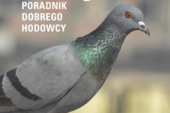 Gołębie. Poradnik hodowcy