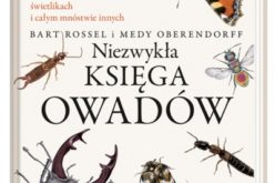 Niezwykła księga owadów