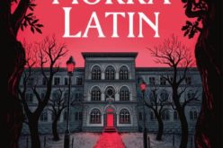 Sara Bergmark Elfgren, “Norra Latin”