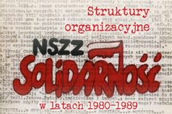 Anna Modzolewska, Struktury organizacyjne NSZZ Solidarność w latach  1980-1989