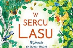 W sercu lasu. Wędrówka po lasach świata