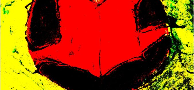 Światowy Dzień Książki i Praw Autorskich