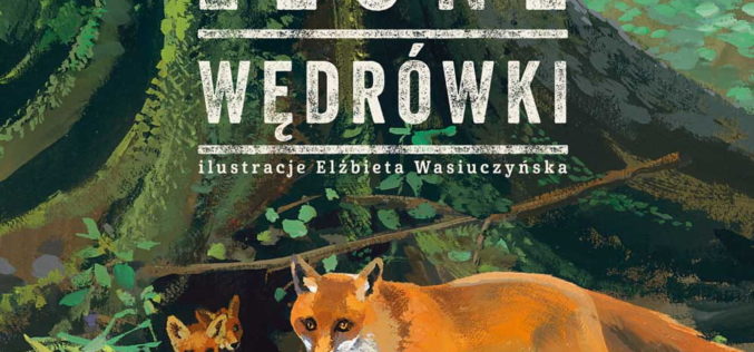 Maria Dunin-Wąsowicz, Leśne wędrówki