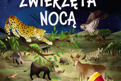 Zwierzęta nocą. Nocne safari z latarką w ręku