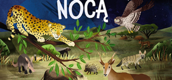 Zwierzęta nocą. Nocne safari z latarką w ręku