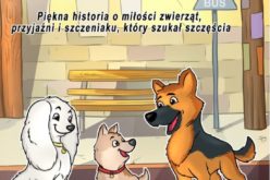 “Hektor, psia opowieść” – książka dla dzieci o psich emocjach z II wojną światową w tle