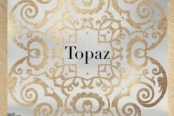 Hakan Günday, Topaz