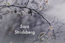 Sara Stridsberg,  Antarktyka miłości