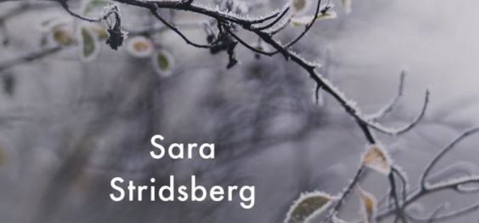 Sara Stridsberg,  Antarktyka miłości