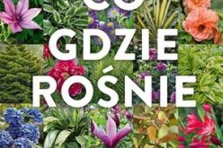 Co gdzie rośnie. 1900 roślin ogrodowych na każde stanowisko