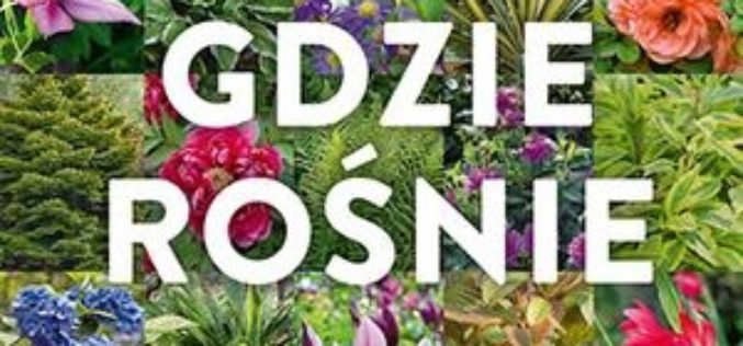 Co gdzie rośnie. 1900 roślin ogrodowych na każde stanowisko