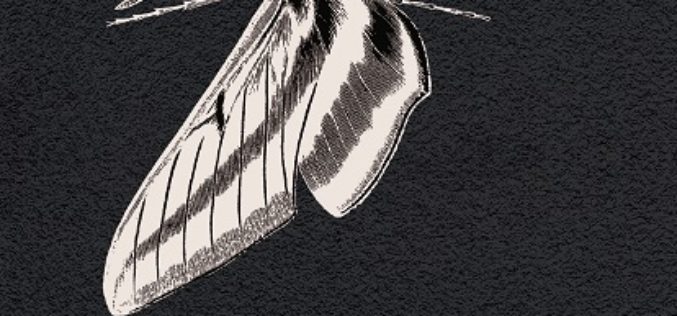 Marta Knopik o „Roku Zaćmienia” w TVP3 Warszawa