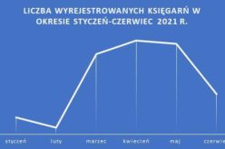 OBK: Spada liczba księgarń