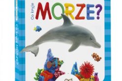 Plastelinkowa akademia. Co kryje morze?
