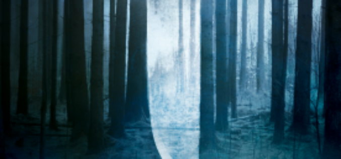 Hipnotyzujący “Szelest” – nowy thriller kryminalny Małgorzaty Oliwii Sobczak