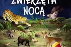 Zwierzęta nocą. Nocne safari z latarką w ręku